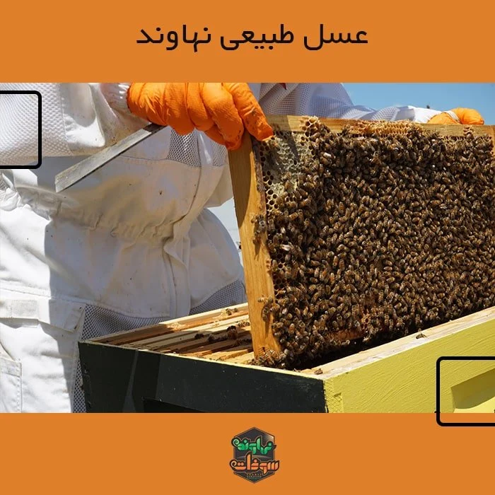عسل