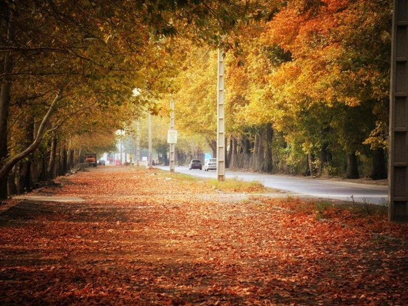 البرز | تهران