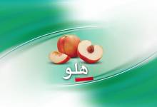 آموزش | نرم افزار