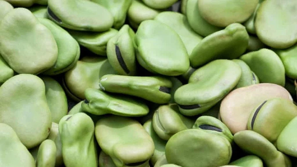 طرز تهیه