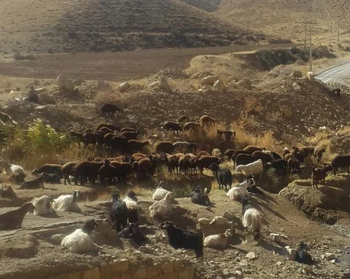 مجله کسب و کار