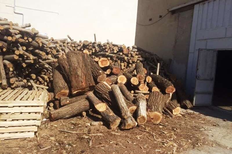 ۳ تن چوب قاچاق در سردشت کشف شد - خبرگزاری مهر | اخبار ایران و جهان