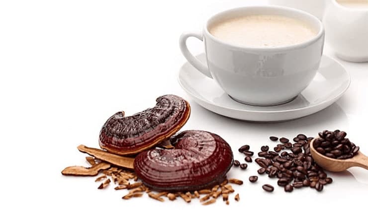 قیمت قهوه گانودرما برای پیسی