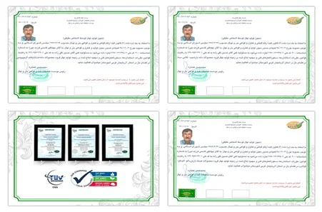 گردو گردو | نهال گردو