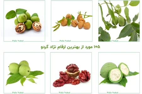 مجله کسب و کار