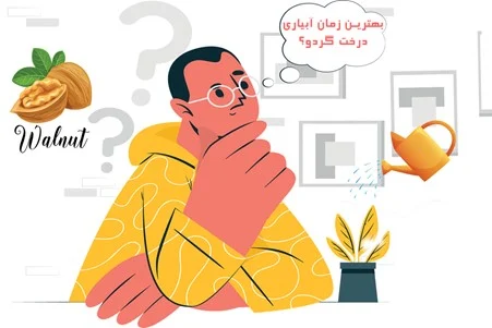 درخت گردو