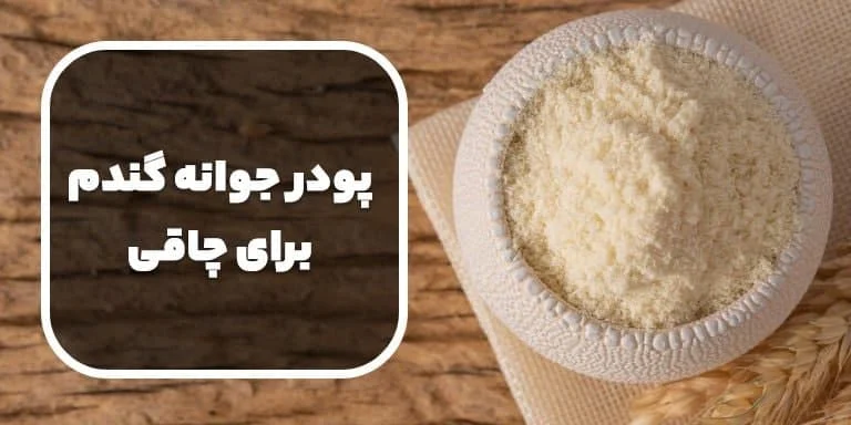 مجله کسب و کار