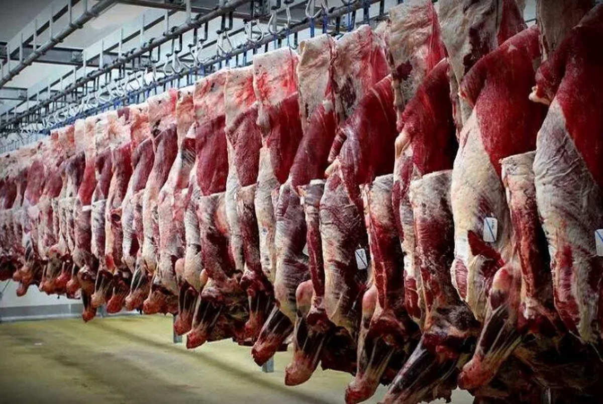 تسهیل‌گری در عرضه گوشت قرمز وارداتی توسط شرکت‌های بخش خصوصی