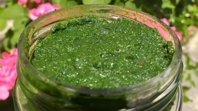 مجله کسب و کار
